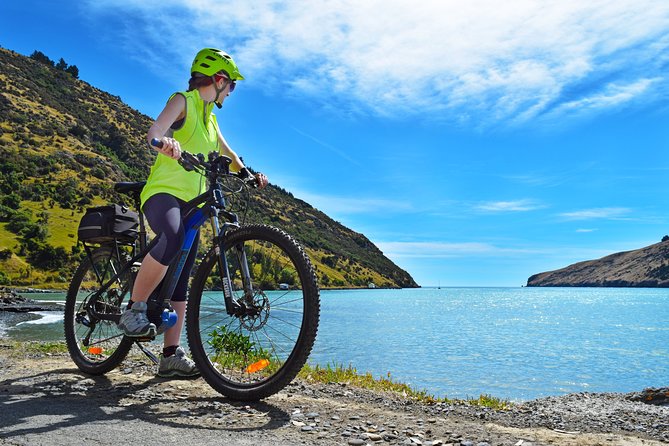 Akaroa Explorer- Guided Electric Bike Tour in Akaroa - Cruise-ship timing and practical planning