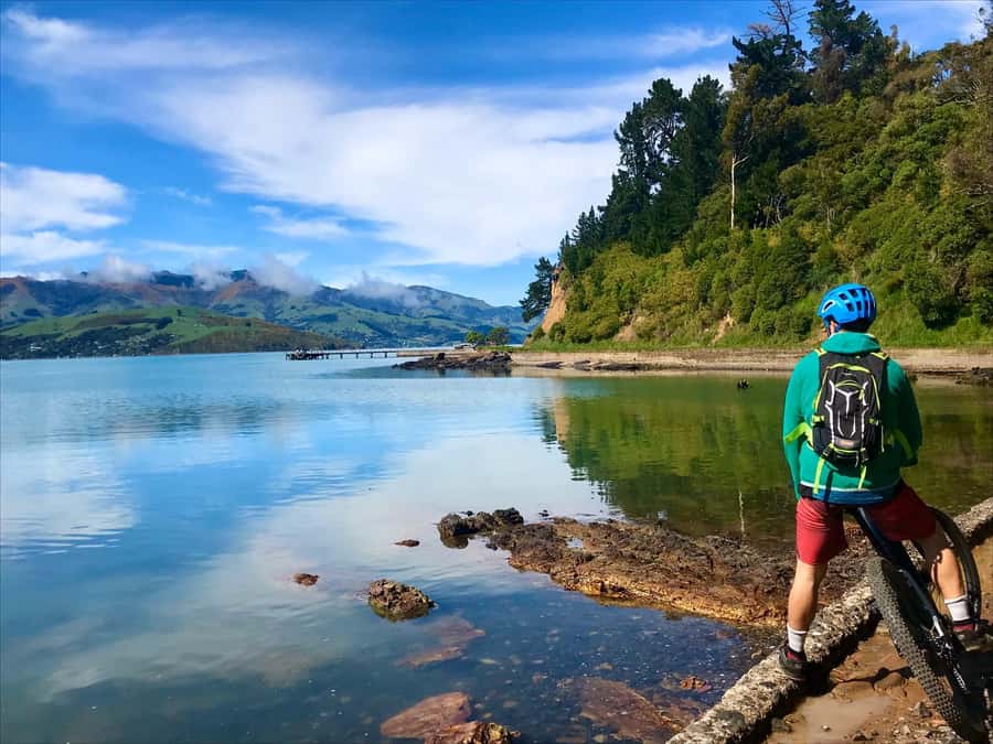 Akaroa Explorer: Guided Electric Mountain Bike Tour - How hard is the ride?