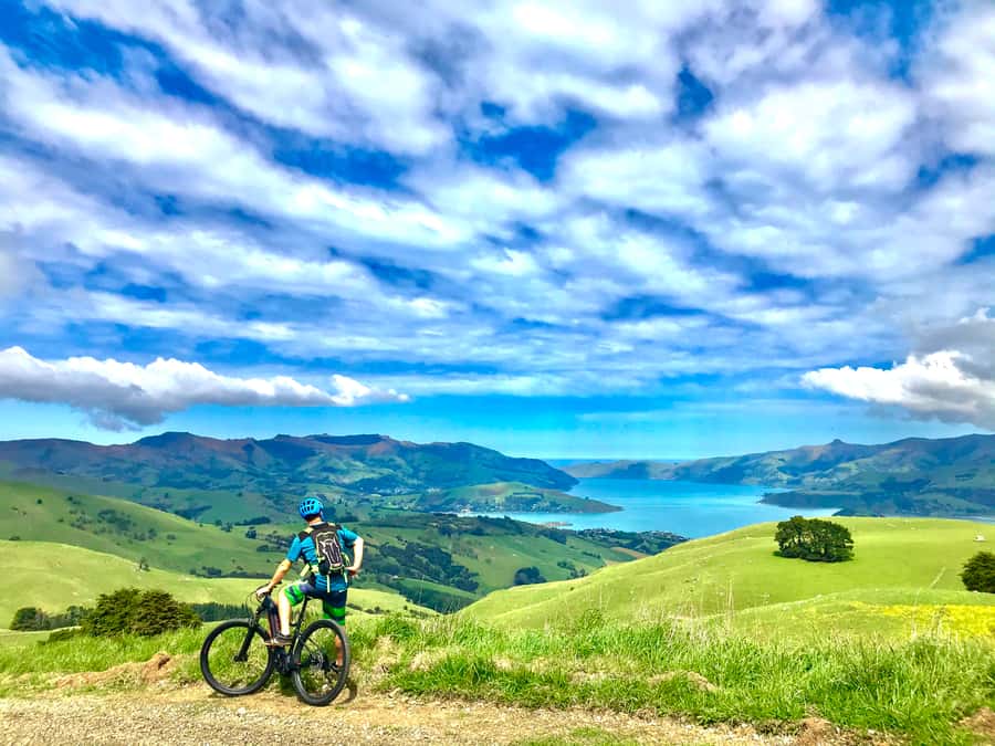 Akaroa Explorer: Guided Electric Mountain Bike Tour - Starting on Main Street in Akaroa