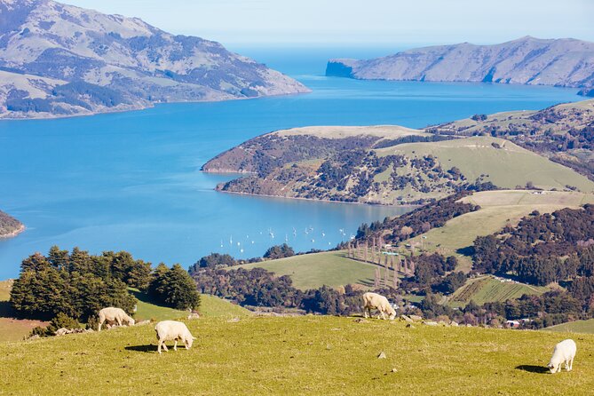 Akaroa & Giants House Garden tour ex Lyttelton (Shore Excursion) - Gebbies Pass gives you the first broad view