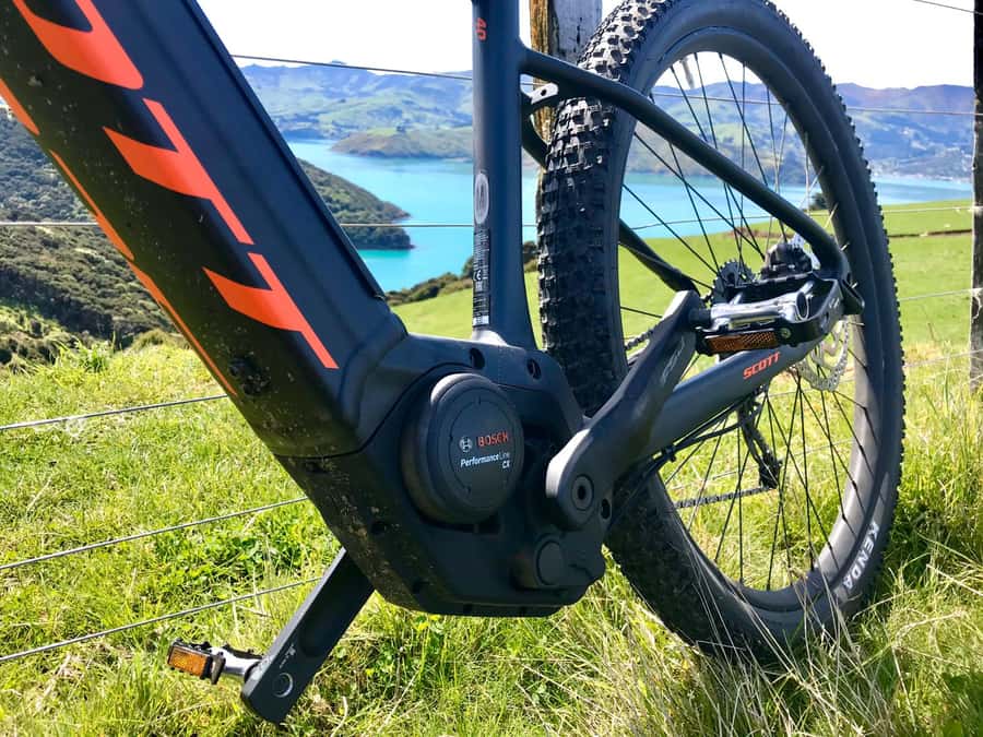 Akaroa: Guided Electric Mountain Bike Tour-Lava Loop - Is the $104 price fair?