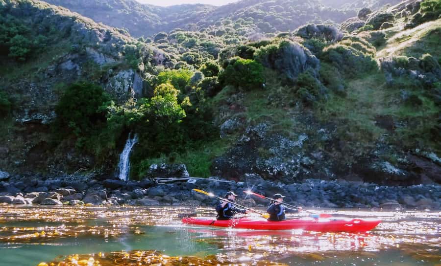 Akaroa: Guided Sunrise Sea Kayaking Tour - Key points to know before you book