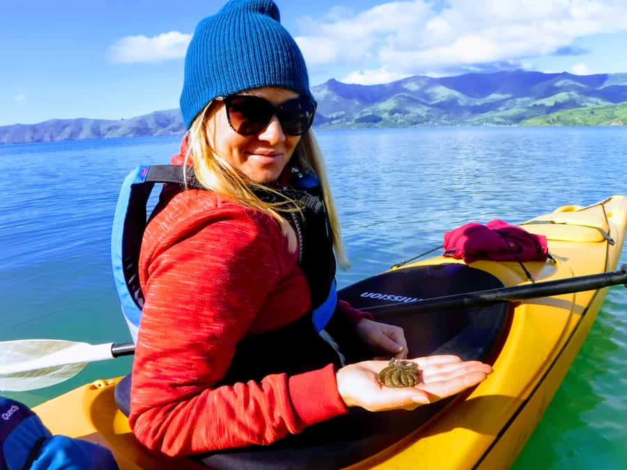 Akaroa: Guided Sunrise Sea Kayaking Tour - Why sunrise is the right time for Akaroa kayaking