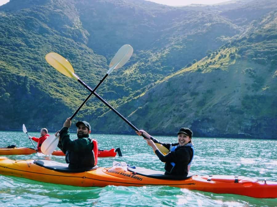 Akaroa: Guided Sunrise Sea Kayaking Tour - How the $92 price measures up