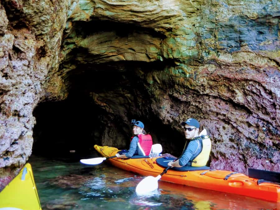 Akaroa: Guided Sunrise Sea Kayaking Tour - Who will enjoy this tour most