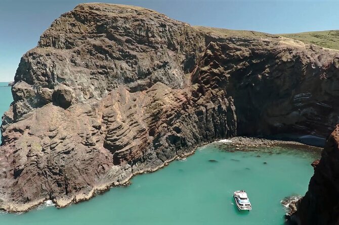 Akaroa Harbour Nature Cruise - Key points to know before you sail