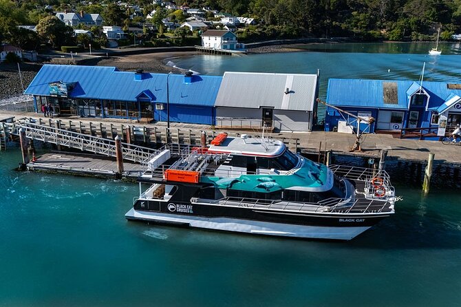 Akaroa Harbour Nature Cruise - What the boat experience feels like