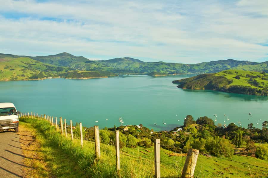 Akaroa: Pohatu Penguins Scenic Nature 2-Hour or 4-Hour Tour - From Akaroa to the crater rim