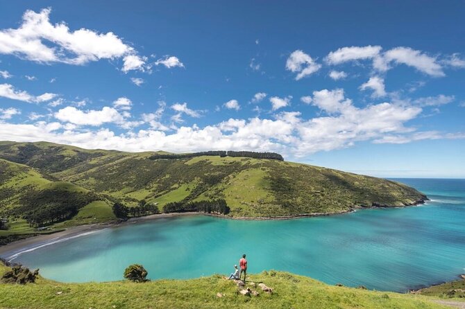 Akaroa Private Day Tour from Christchurch - Why this Akaroa day trip works well