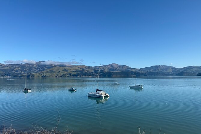 Akaroa Private Day Tour from Christchurch - Hector’s dolphins and the cost of optional activities