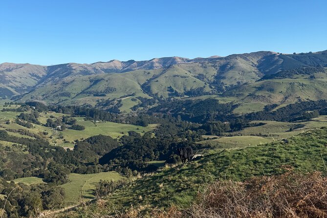 Akaroa Private Day Tour from Christchurch - Who should book this private tour?