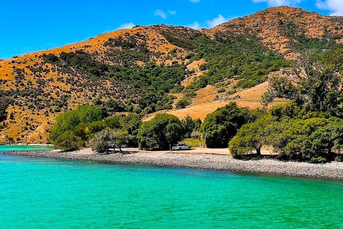 Akaroa Private Day Trip From Christchurch - Why Akaroa makes a good Christchurch day trip