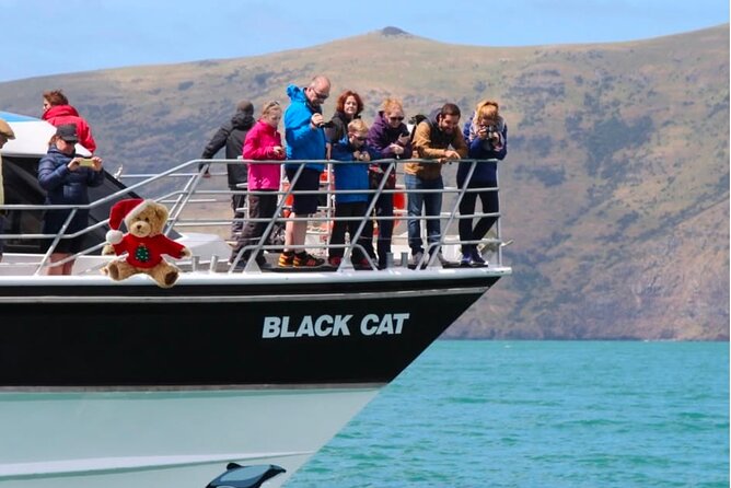 Akaroa Private Day Trip From Christchurch - What the private format changes
