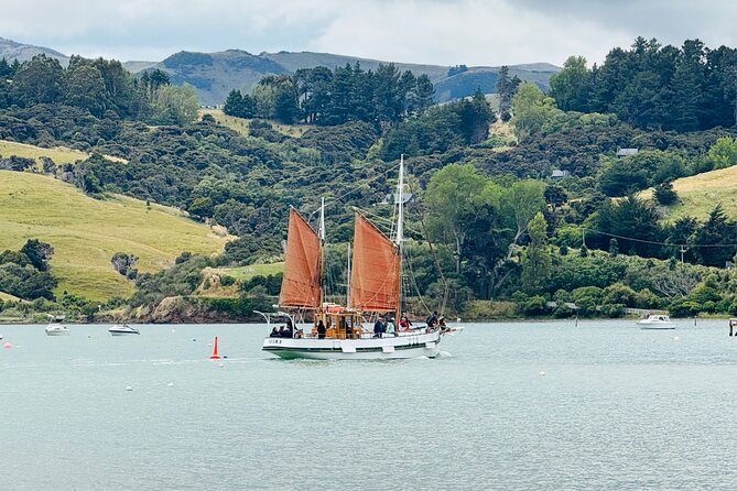Akaroa Private Group Day Trip from Christchurch - Cheese tasting, alpacas, and other possible additions