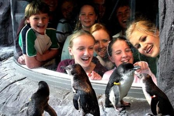 Akaroa Shore Excursion: Banks Peninsula, Christchurch City Tour and the International Antarctic Centre - Why timing can make or break the day