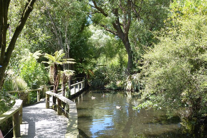 Akaroa Shore Excursion: Banks Peninsula, Christchurch City Tour and Willowbank Wildlife Reserve - Transport, group size, and the return to port