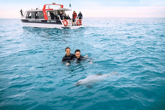 Akaroa Swim with Dolphins Tour from Christchurch - Barry’s Bay cheese tasting