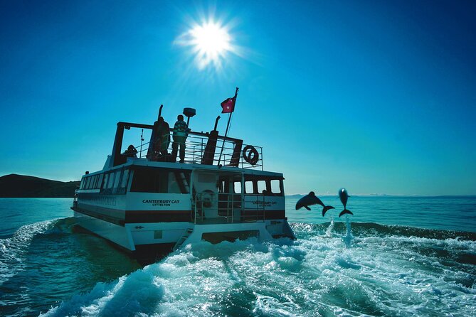Akaroa Swim with Dolphins Tour from Christchurch - What the $223.41 price includes