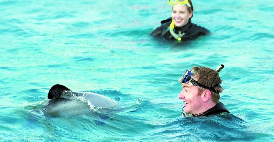 Akaroa: Swimming with Wild Dolphins Experience - The briefing sets the right tone