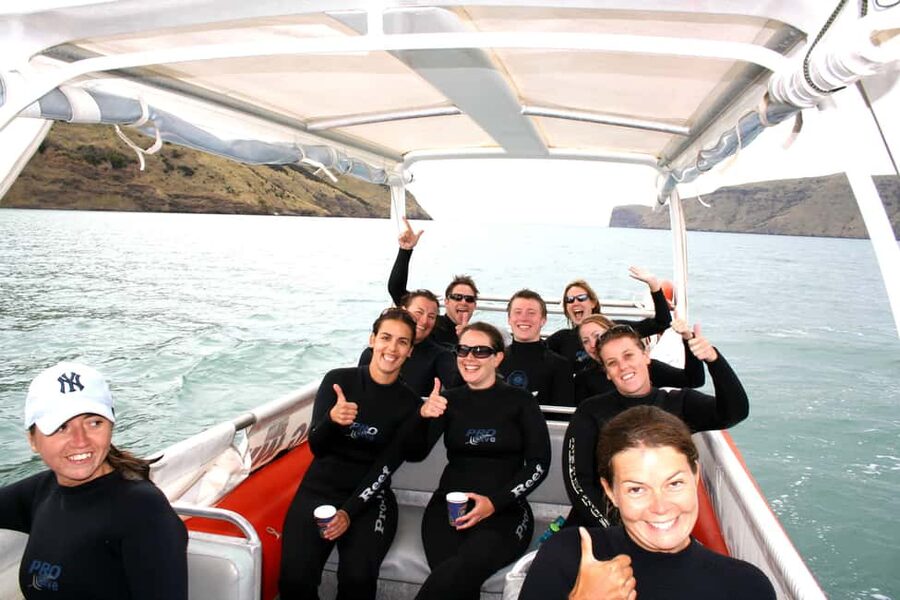 Akaroa: Swimming with Wild Dolphins Experience - Exploring Akaroa Harbour by purpose-built boat