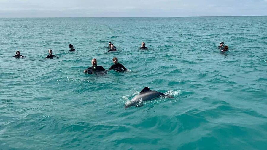 Akaroa: Swimming with Wild Dolphins Experience - Photos, hot showers, and small comforts