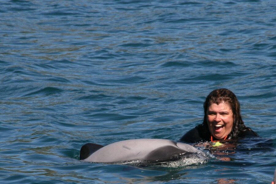 Akaroa: Swimming with Wild Dolphins Experience - Meeting at Black Cat Cruises in Akaroa