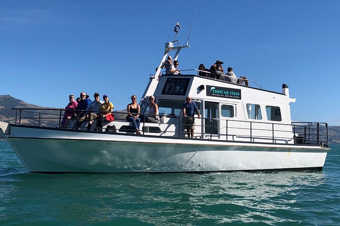 Akaroa Wildlife Cruise - Key points at a glance