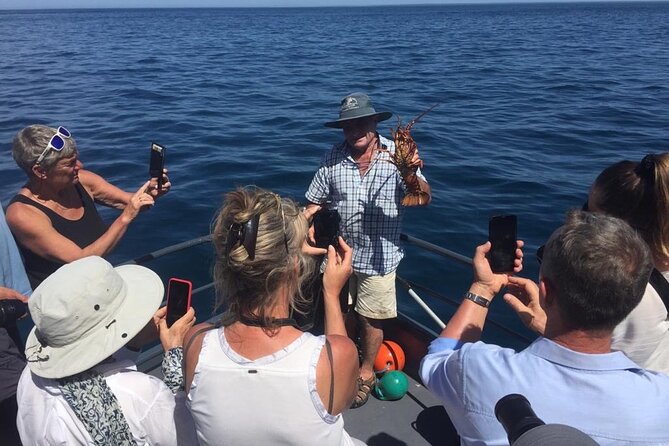 Akaroa Wildlife Cruise - What the cruise route gives you