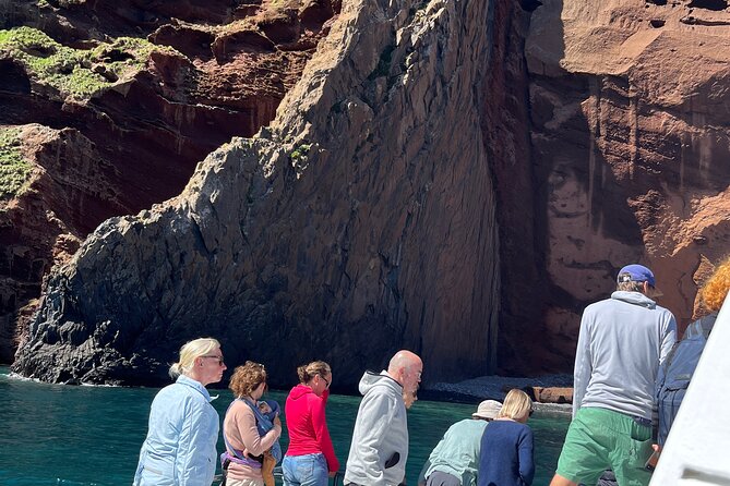 Akaroa Wildlife Cruise - Searching for dolphins, seals, penguins, and birds