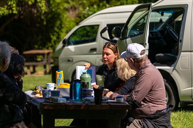Akaroa with optional dolphin cruise (Small Group Tour) - Why Akaroa makes a fine full-day outing
