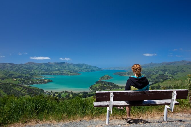 Akaroa with optional dolphin cruise (Small Group Tour) - The ride back through Christchurch