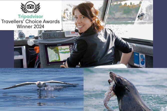 Albatross, seals, and sea birds-Wildlife Cruise - Why this Port Chalmers cruise is different