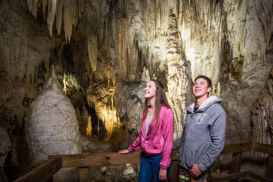 Aranui Cave 1-Hour Guided Tour - Key points to know before you go