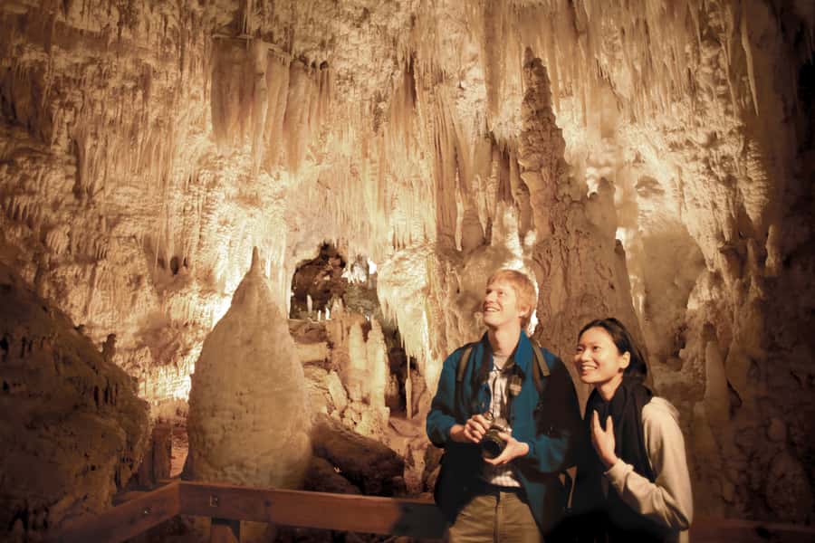 Aranui Cave 1-Hour Guided Tour - Why Aranui Cave feels different from the famous glowworm tour