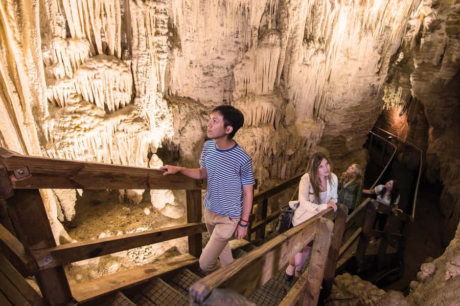 Aranui Cave 1-Hour Guided Tour - The 15-minute bush walk into the reserve