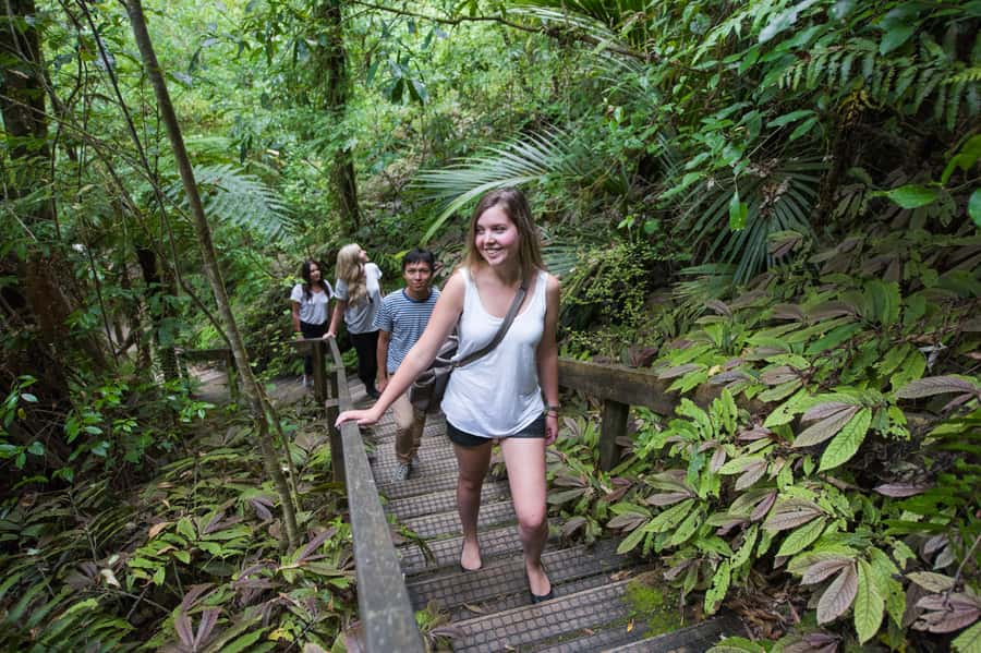 Aranui Cave 1-Hour Guided Tour - How the $47 price compares with the experience
