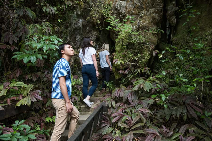 Aranui Cave 1-Hour Guided Tour - Who should choose Aranui Cave