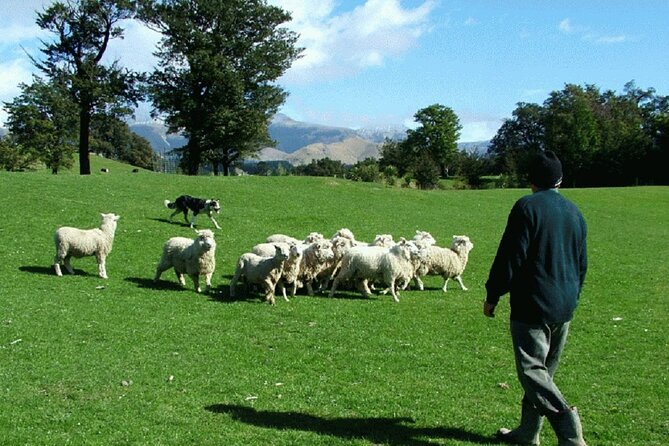 Arthur's Pass and TranzAlpine Train Day Tour from Christchurch - Arthur’s Pass Village and lunch choices