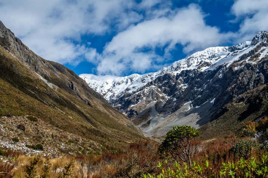 Arthur's Pass Day Tour From Christchurch with TranzAlpine - Lakes, rivers, and film locations along the highway