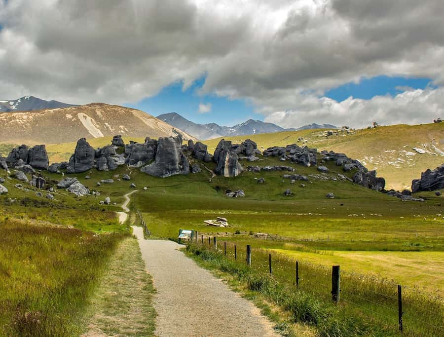 Arthur's Pass: TranzAlpine Train and Castle Hill Day Tour - Weather, clothing, and walking ability