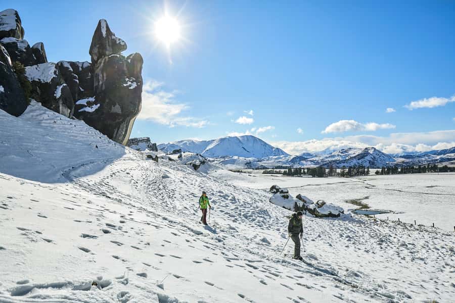 Arthur's Pass: TranzAlpine Train and Castle Hill Day Tour - Arthur’s Pass National Park and the waterfall walk