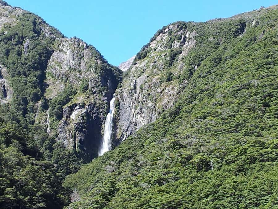 Arthur's Pass: TranzAlpine Train and Castle Hill Day Tour - Otira Viaduct lookout and the local stars with feathers