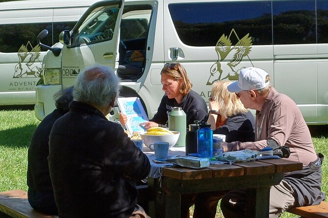 Arthur's Pass with optional TranzAlpine Train (Small Group Tour) - The TranzAlpine upgrade changes the first half