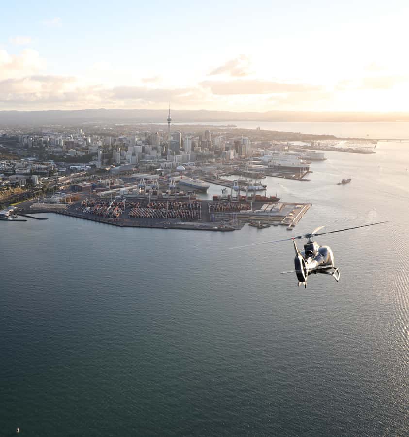Auckland: 20min Helicopter scenic flight - City & Volcanoes - From Rosedale Road toward Auckland’s landmarks