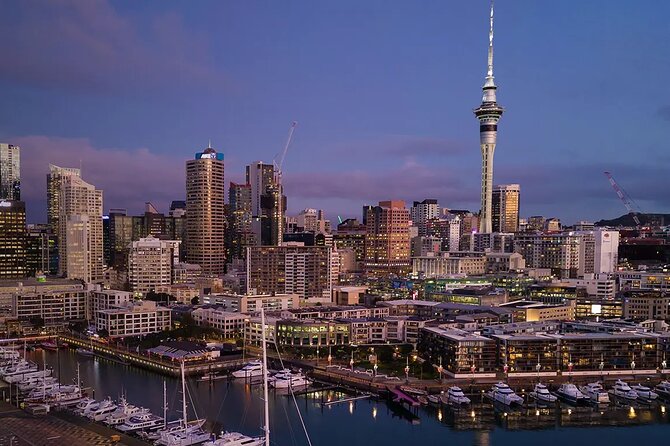 Auckland Airport Private Transfer - What the airport meeting is really like