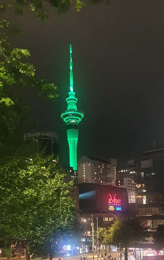 Auckland: Auckland City Tour 4 hours private - Starting in Auckland CBD by private car