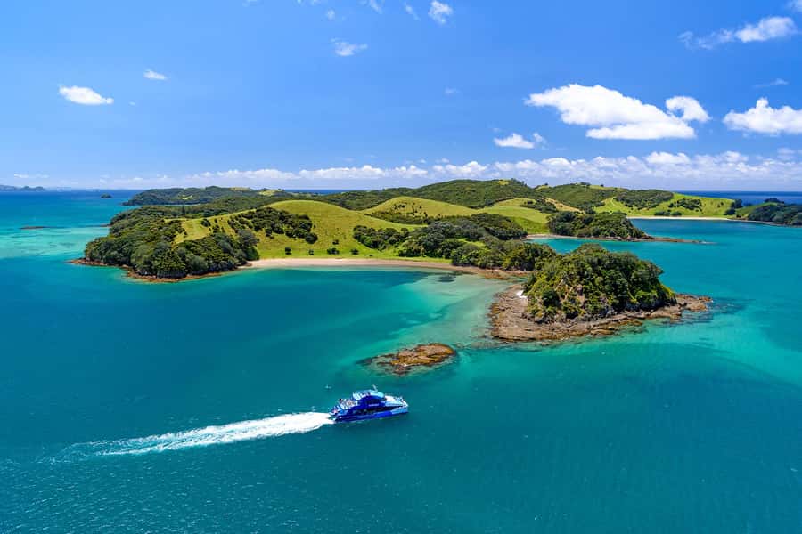 Auckland: Bay of Islands Day Tour with Dolphin Cruise - Reaching Paihia and boarding the catamaran