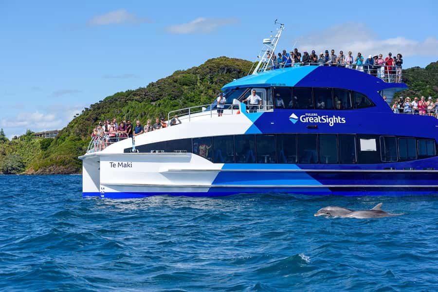 Auckland: Bay of Islands Day Tour with Dolphin Cruise - What the wildlife search is really like