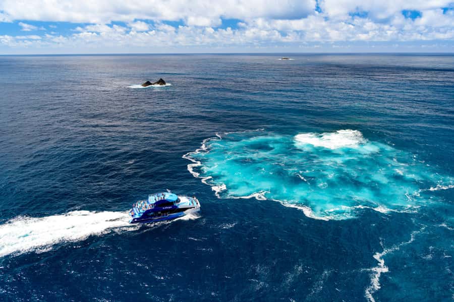Auckland: Bay of Islands Day Tour with Dolphin Cruise - Is $283 a fair price?