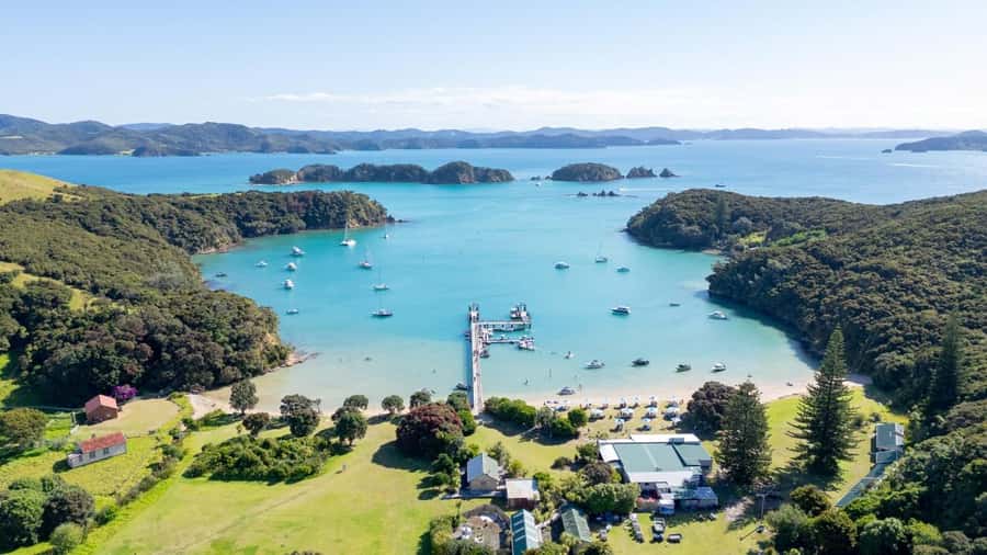 Auckland: Bay of Islands Tour & Cruise 2Day Small Group Tour - The Kauri Museum gives the forest a human story